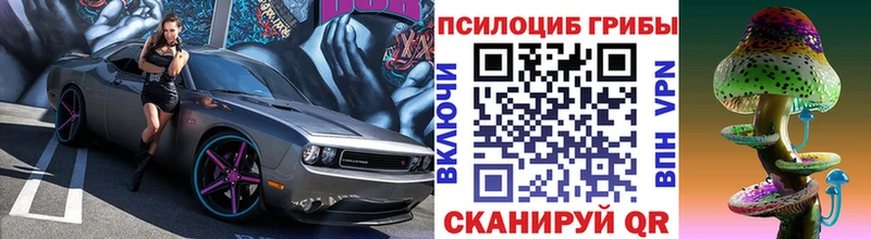 Псилоцибиновые грибы Magic Shrooms  OMG ссылка  Усть-Лабинск 